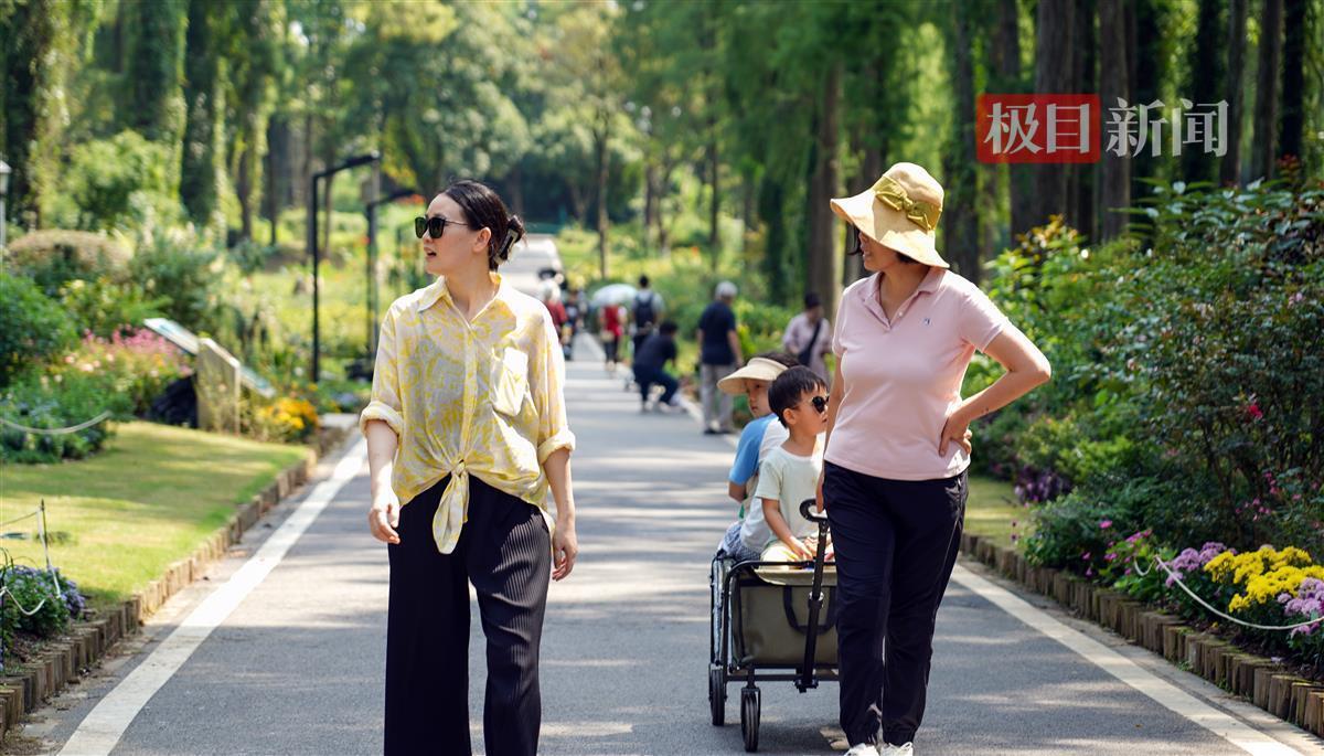 糖果派对总得点是啥意思